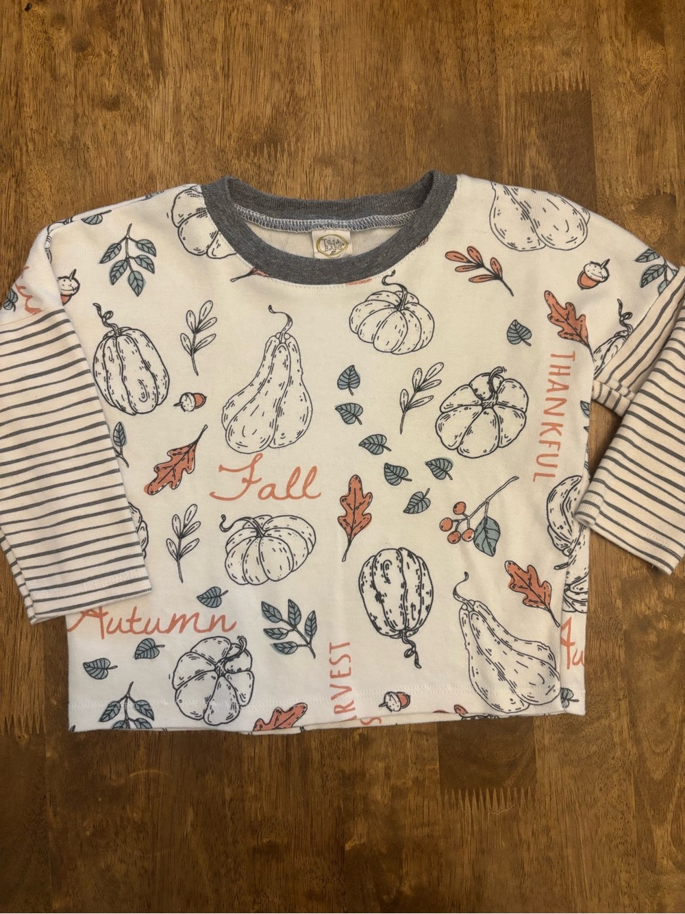 Tesa Babe Fall Harvest Long-Sleeve